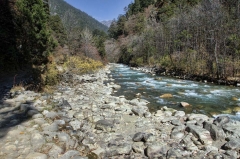 a casual walk along a creek
