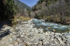 a casual walk along a creek