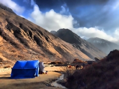 breezy at Jomolhari base camp