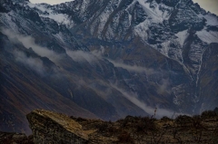 mists on the mountain