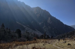 morning light on the trail