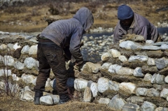 reconstructing wall after flood