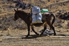 supplies headed uphill