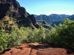 011edge of valley vegetation_