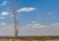 Amboseli-dust-devils-83