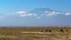 Kilimanjro-from-Amboseli-67