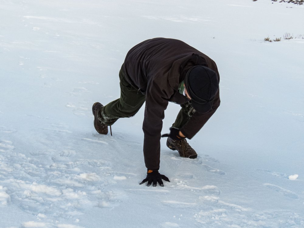 demonstrating walking in register