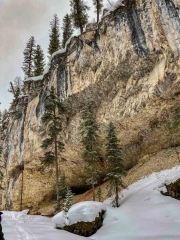 Madison limestone at Pebble Creek