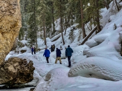snowshoe walk at Pebble Creek