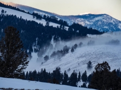 morning mist