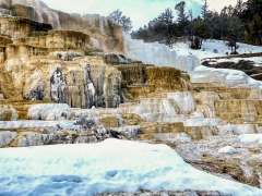 Mammoth Hot Springs