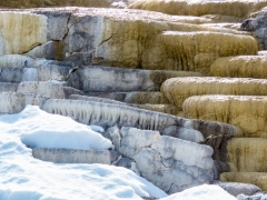 fascinating forms and colors