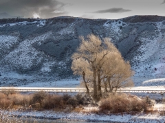morning frost