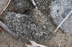 16 crumbly granite