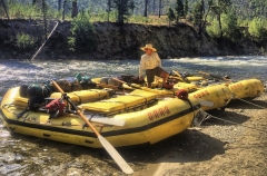 Bronco surveying the river