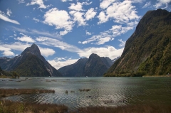nz134