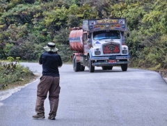 I'm not sure pedestrians have the right of way