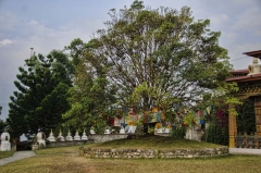 Khamsum Yulley Namgyal Chorten 6