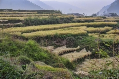 did water cause this_