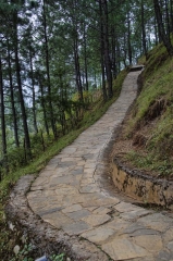 final section of path to temple