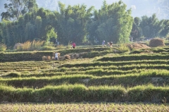 final work for the season