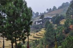 how long to create these fields