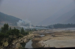 incense cirlique in predawn light