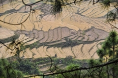 more clarity of the process