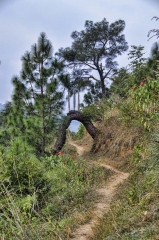 natural arch_