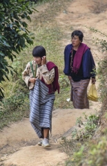 our fellow travelers