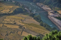 property of guide Kinsey_