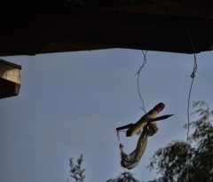 sign of the divine madman