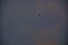 spider silhouettes against cosmic background