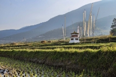 spiritual life in the fields