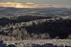 icy panorama