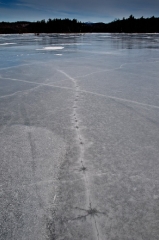 ice-at-grafton-pond-2_0