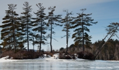 island-in-frozen-grafton-pond