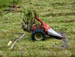 small-hay-mower